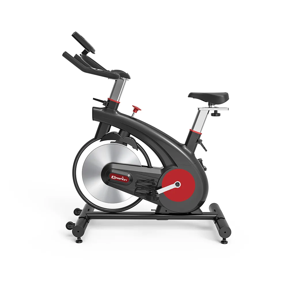 Champion YQ-S300A Spin Bike