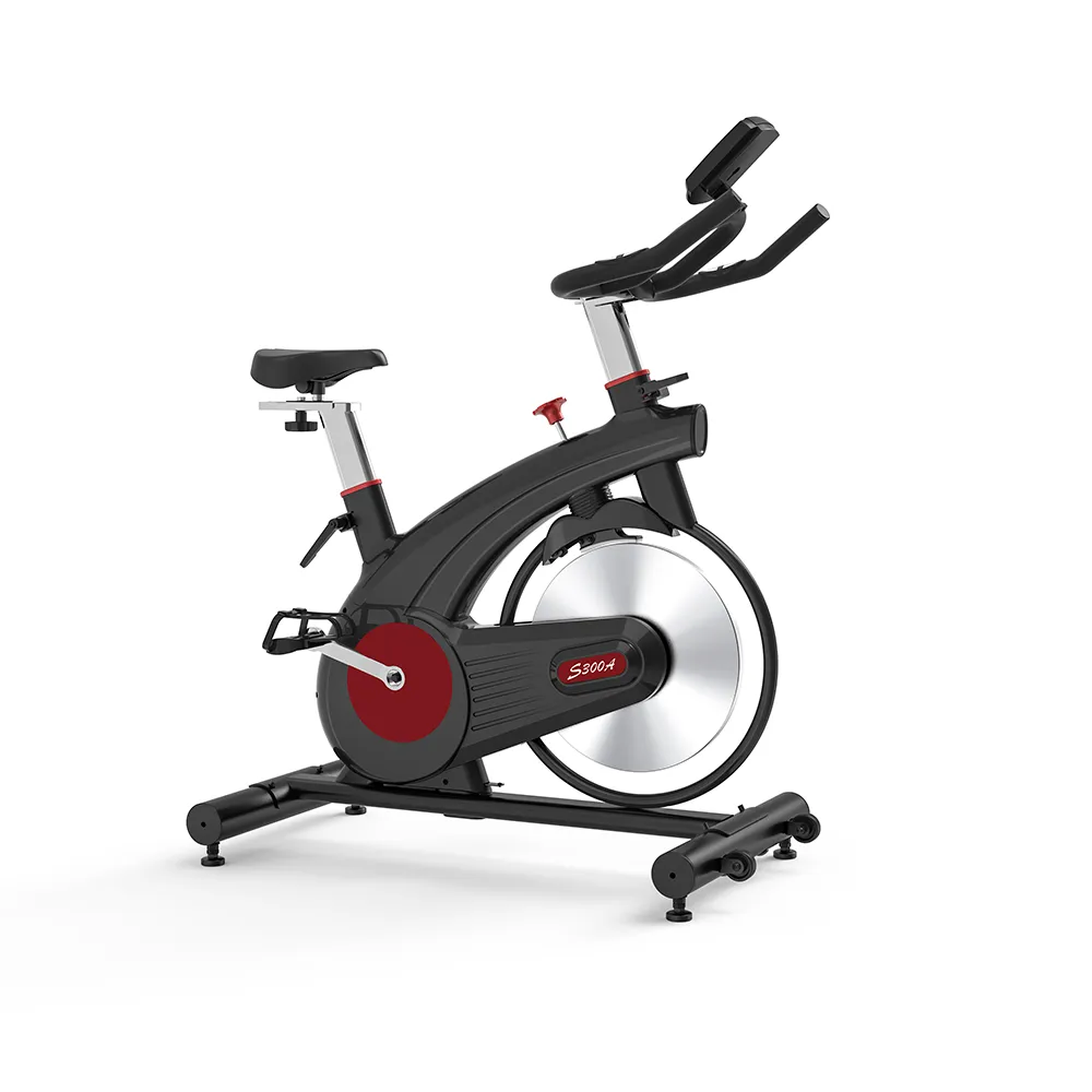 Champion YQ-S300A Spin Bike