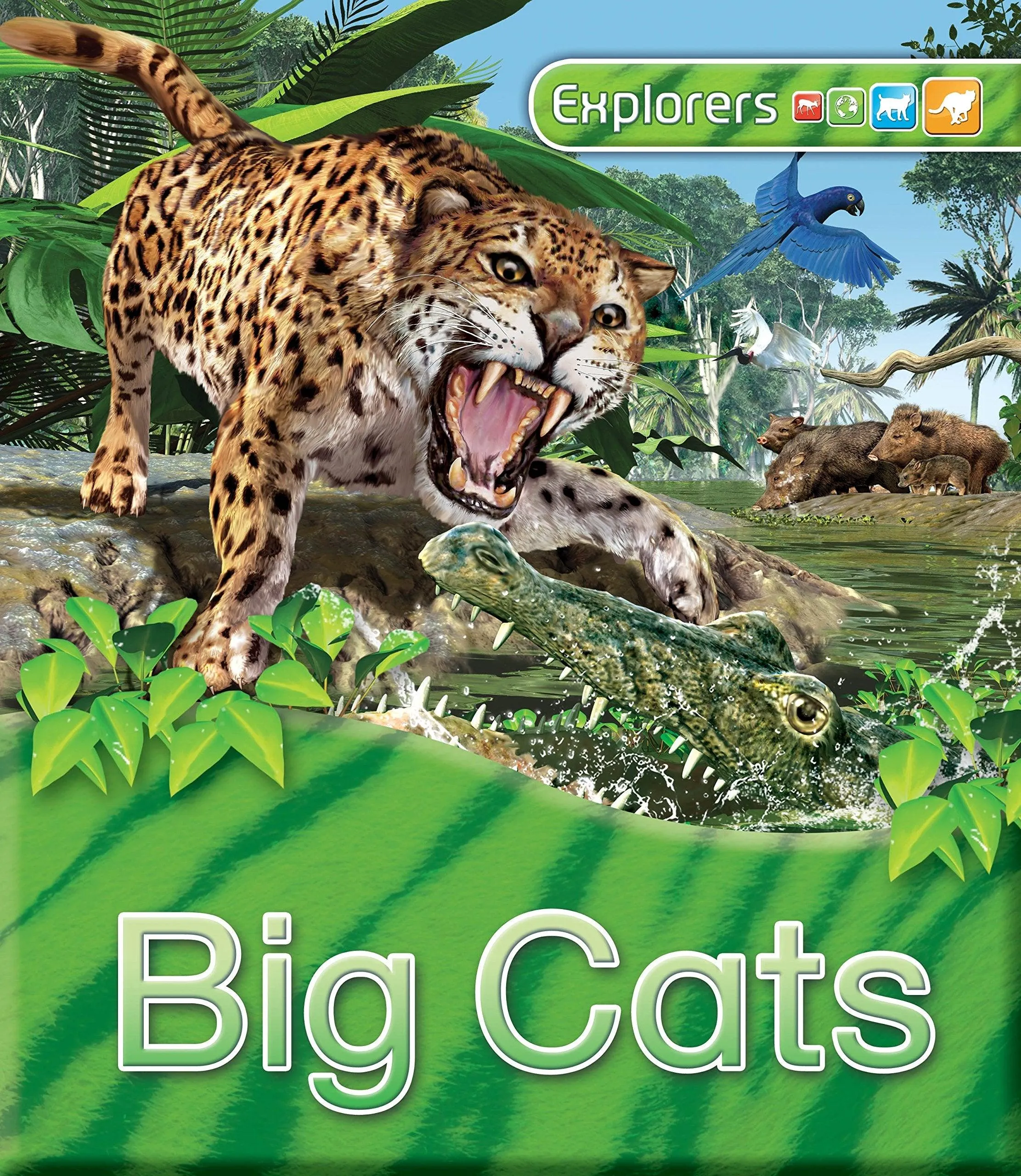 Explorers - Big Cats