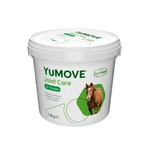 Joint Care for Horses