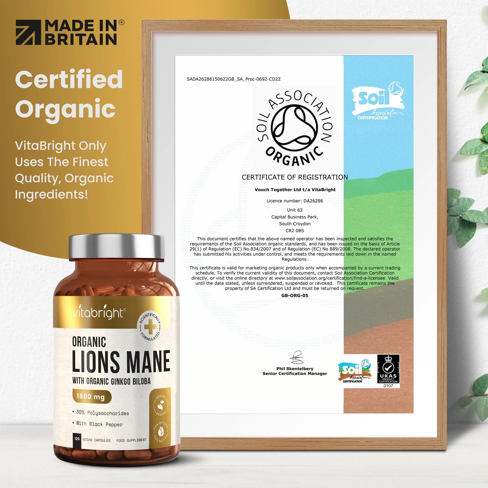 Organic Lion's Mane Capsules With Ginkgo Biloba and Black Pepper