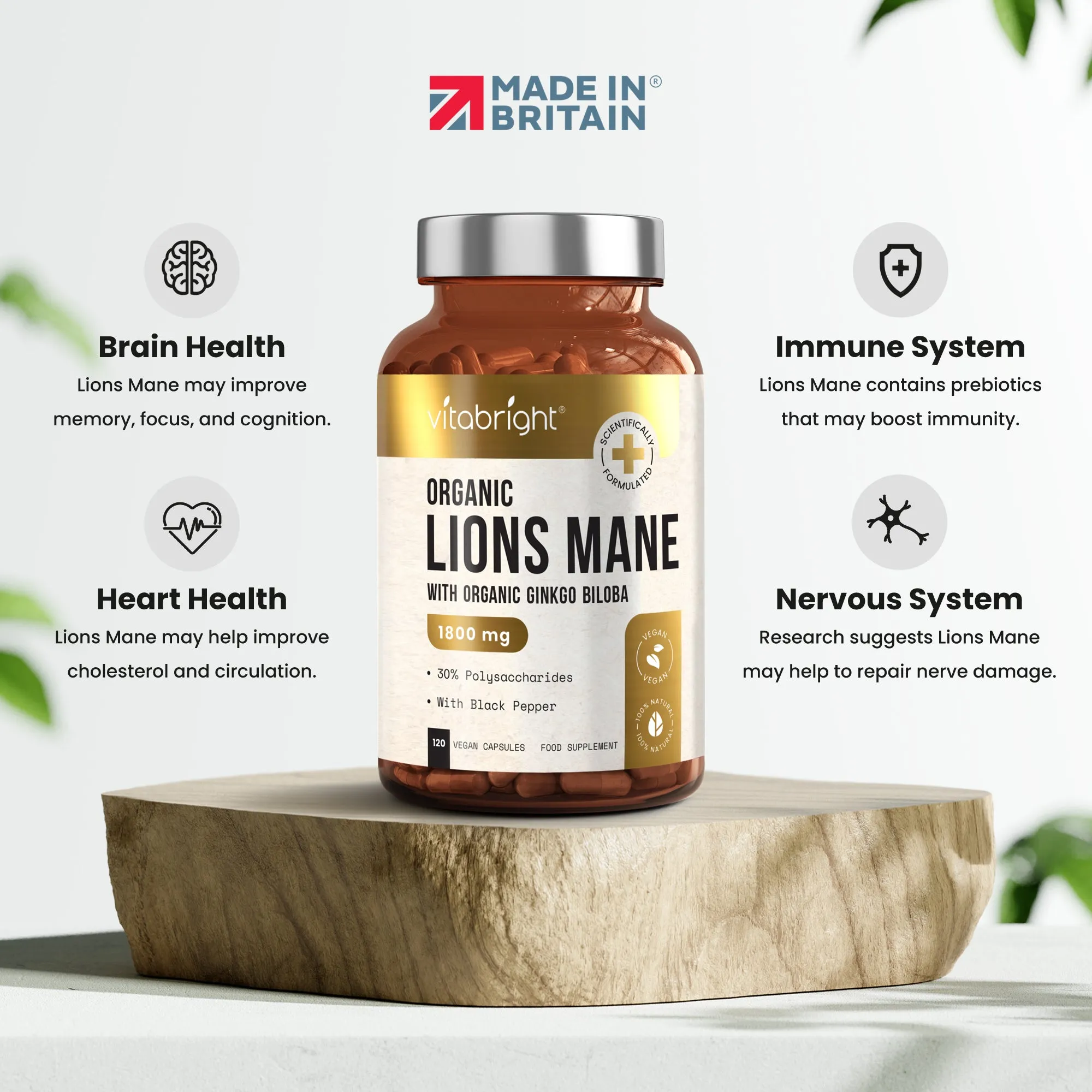 Organic Lion's Mane Capsules With Ginkgo Biloba and Black Pepper