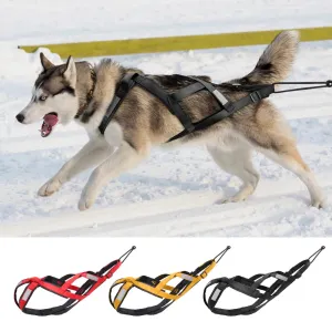 Skijoring Gear For Large Dogs Waterproof