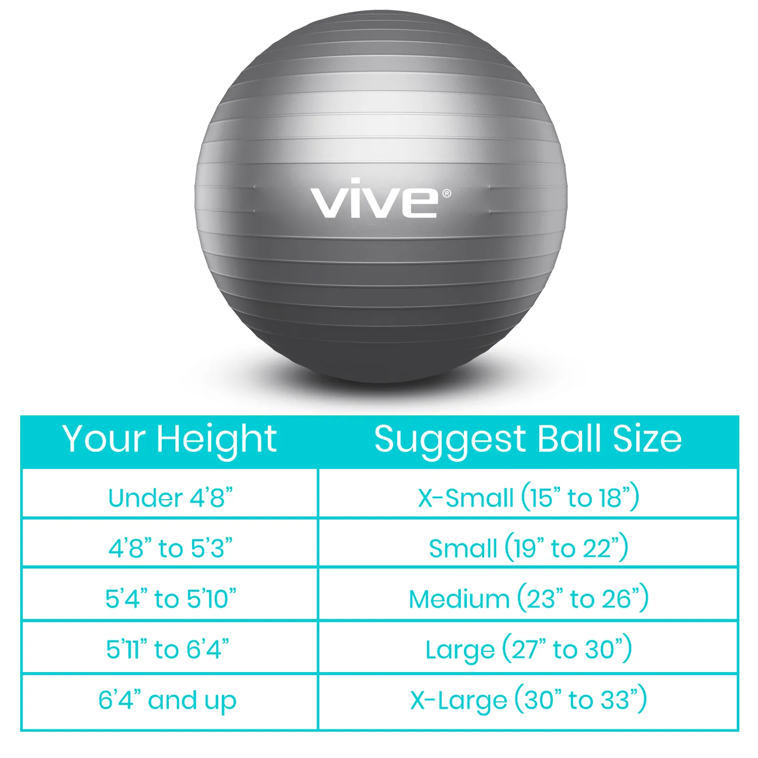 Vive Exercise Ball