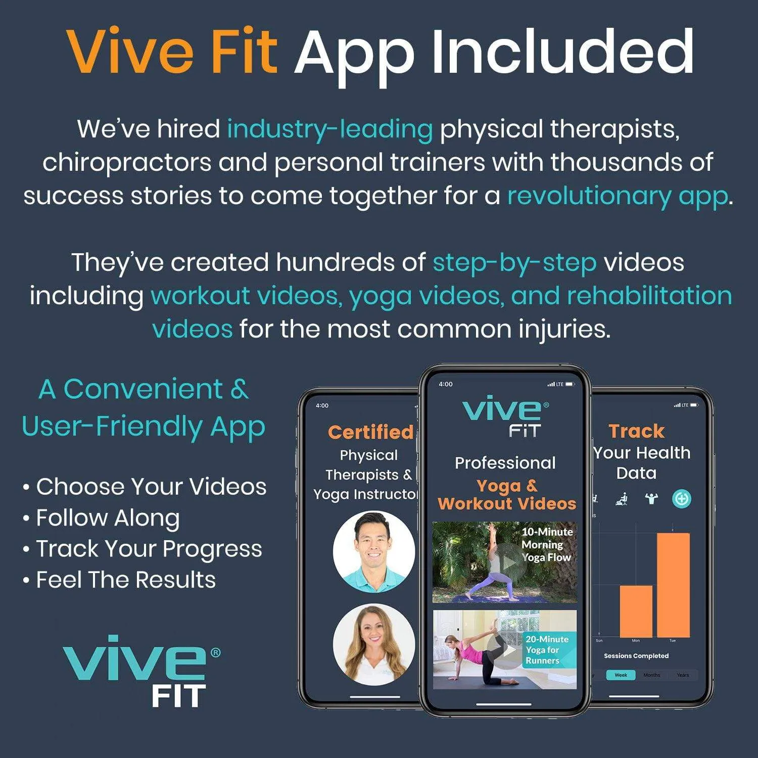 Vive Exercise Ball