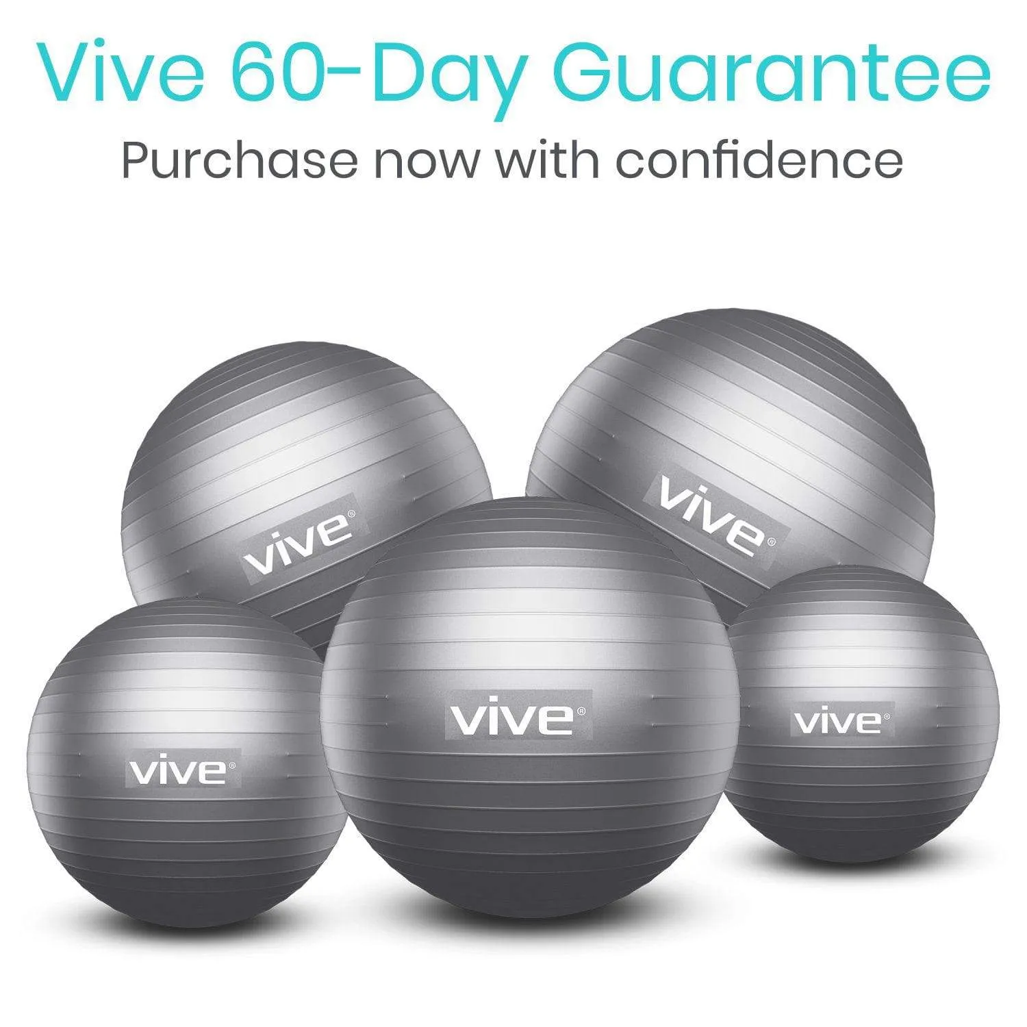 Vive Exercise Ball